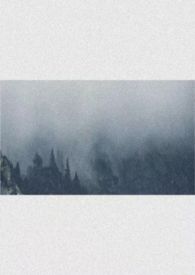 愿同尘与灰(综漫)