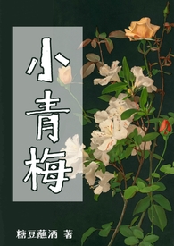 小青梅(np)