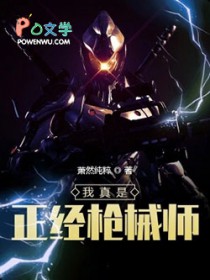 我真是正经枪械师