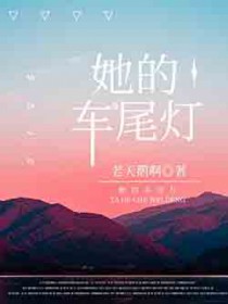 她的车尾灯[公路]