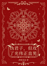 伪君子,但攻了光伟正直男