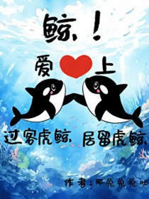 鲸!过客虎鲸爱上居留虎鲸