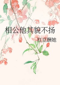 相公他其貌不扬