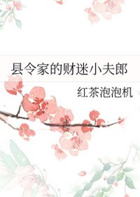 县令家的财迷小夫郎