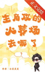 主角攻的火葬场去哪了[快穿]