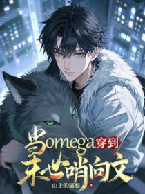 当omega穿到末世哨向文
