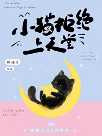 小猫拒绝上天堂