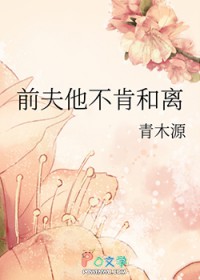 前夫他不肯和离