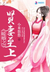 暖婚之贤妻至上