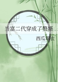 当富二代穿成了赘婿