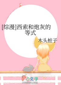 [综漫] 西索和炮灰的等式