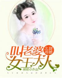 久别再婚:叫老婆女王大人